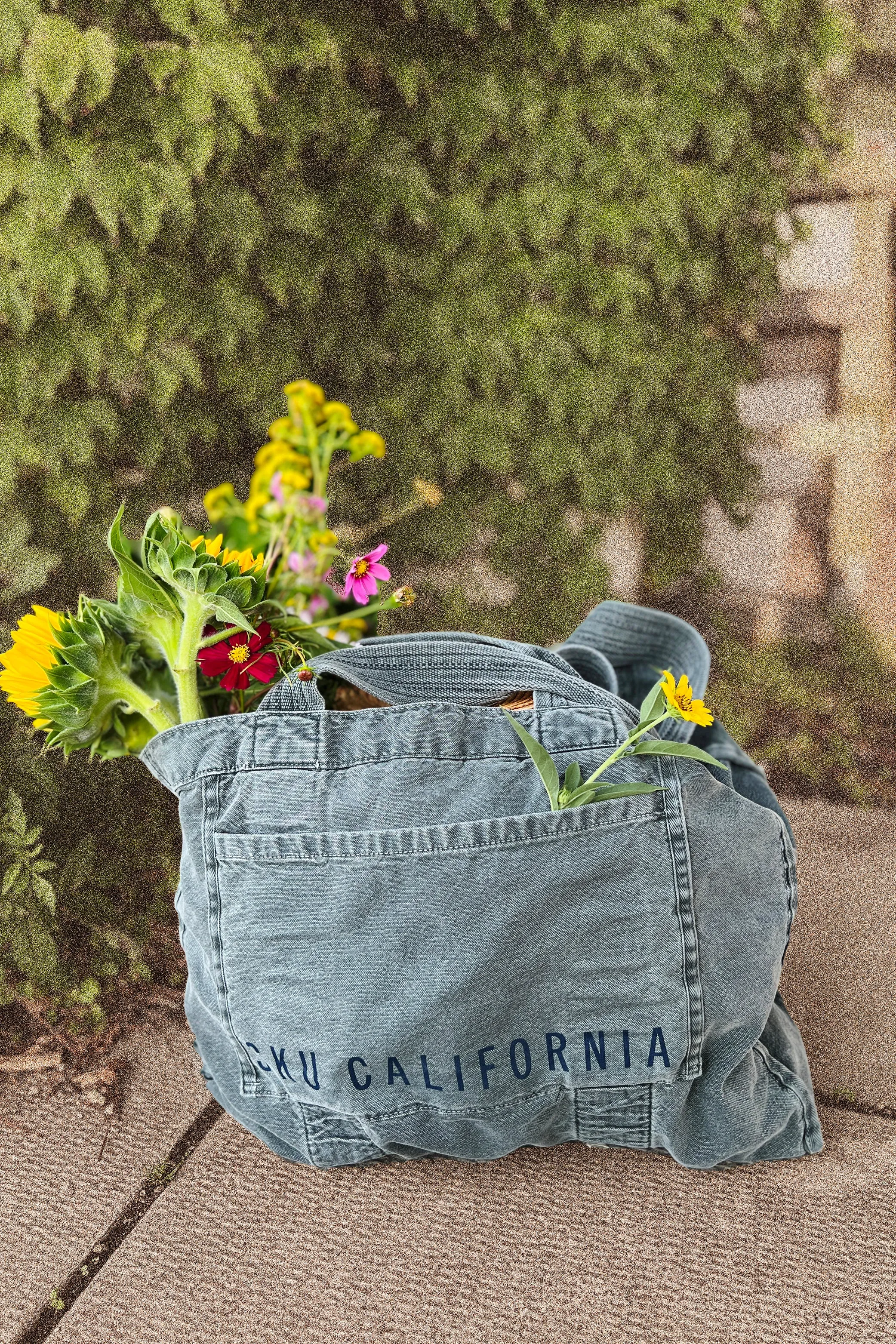 California Beach Tote